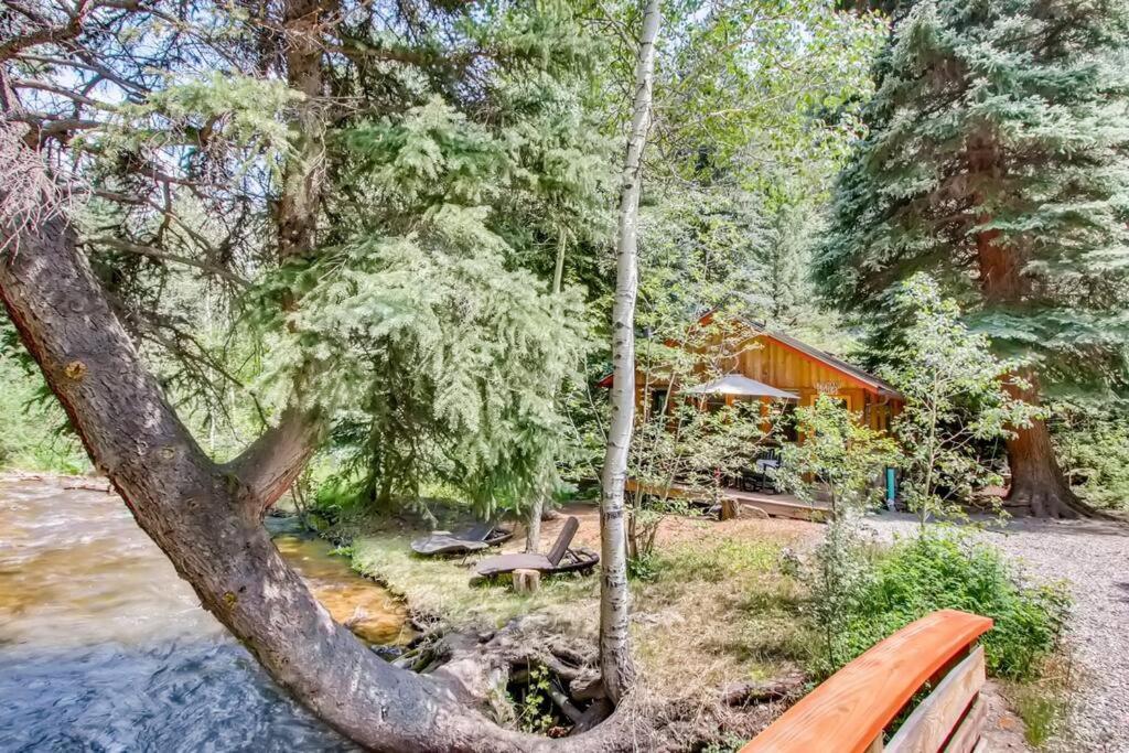 Epiphany Pines: Waterfront Work & Play Cabin 爱达荷斯普林斯 外观 照片